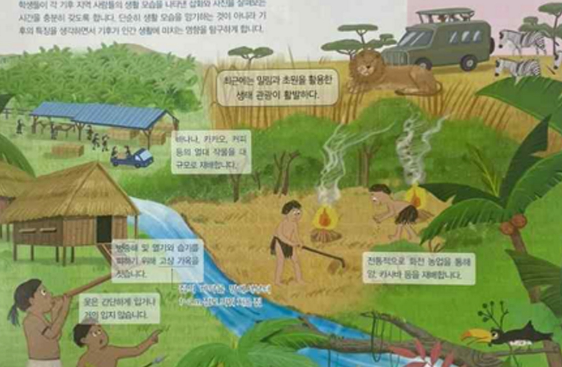 초등 사회 교과서 삽화 — 아프리카의 삶을 초원·사파리·원시 농경으로만 묘사